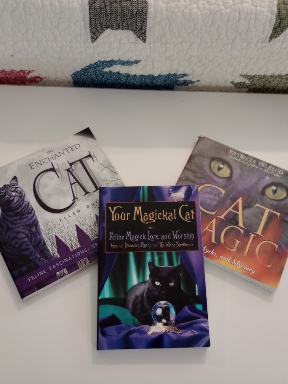 Cat Magic Spellbook Bundle
